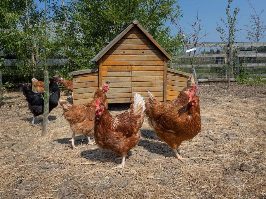 Puck'S Retreat Bed & Breakfast Tredington エクステリア 写真